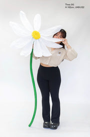 Creme Hoodie Daisy Crop Cardigan
