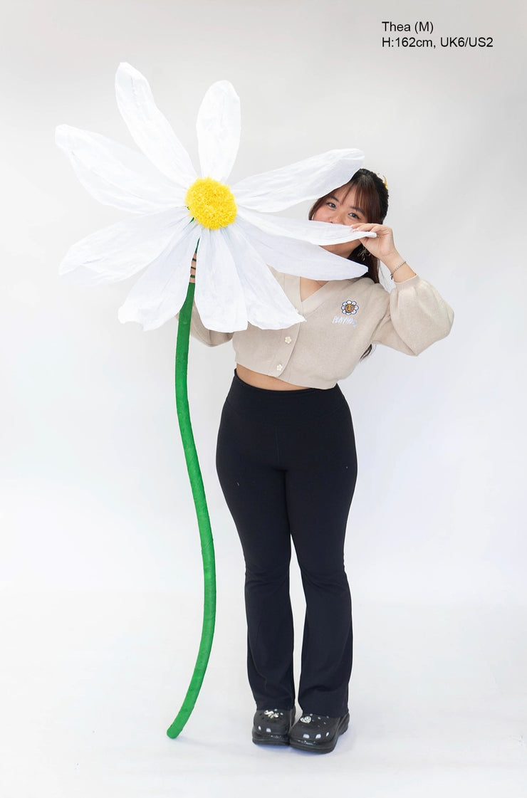 Creme Hoodie Daisy Crop Cardigan